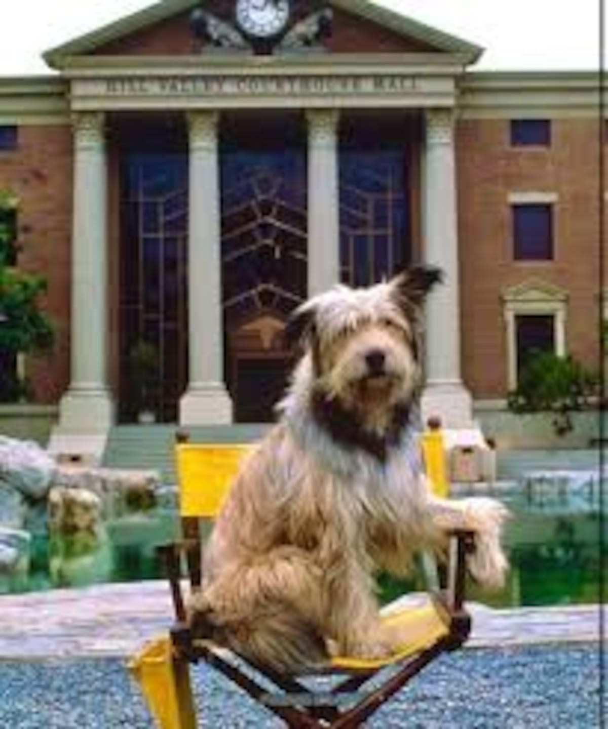 Einstein: El primer perro en viajar en el tiempo, un compañero leal de Marty McFly en Back to the Future.