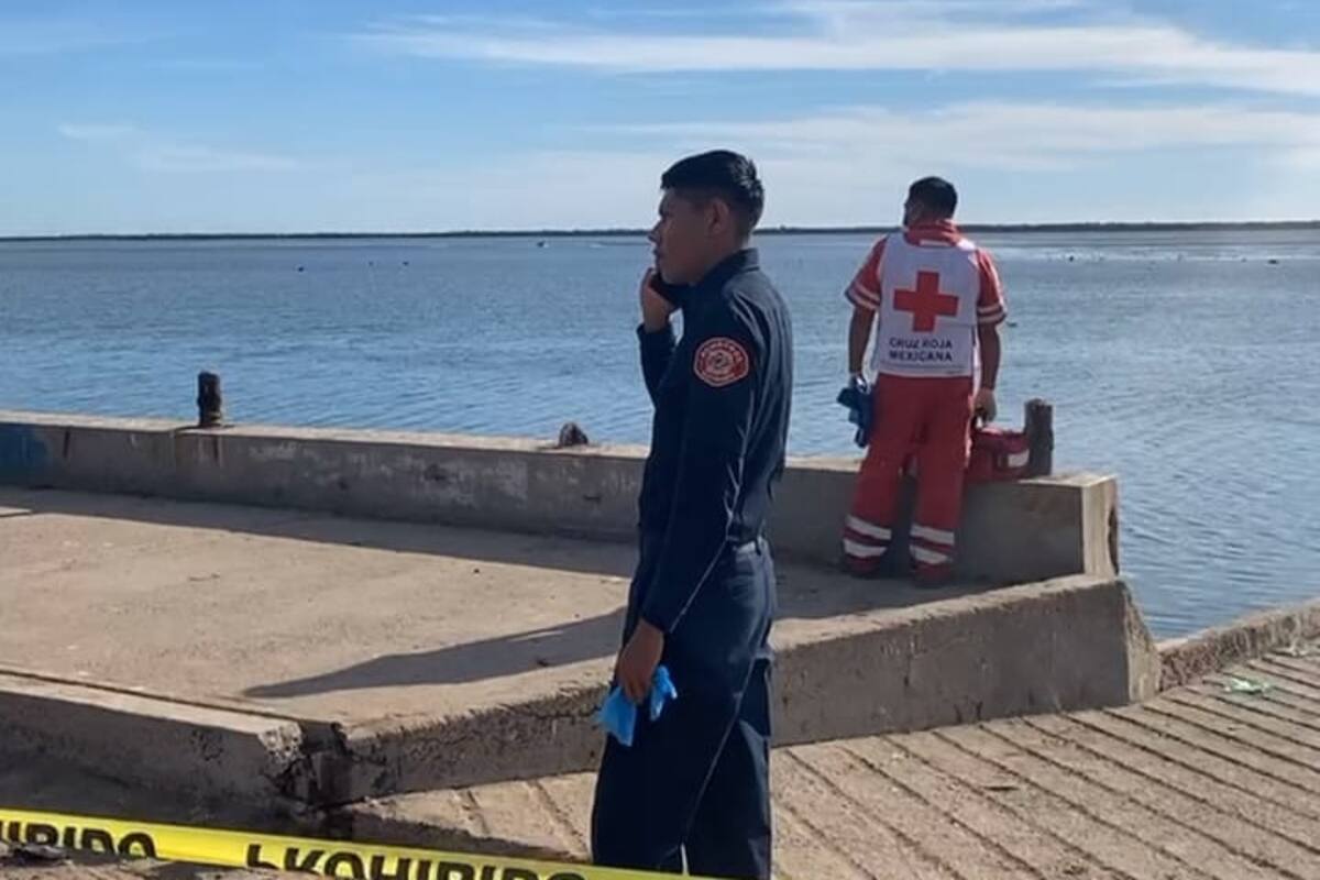 Ante presencia de tiburones en costas de Sonora ¿Cuáles son las recomendaciones para evitar un ataque?