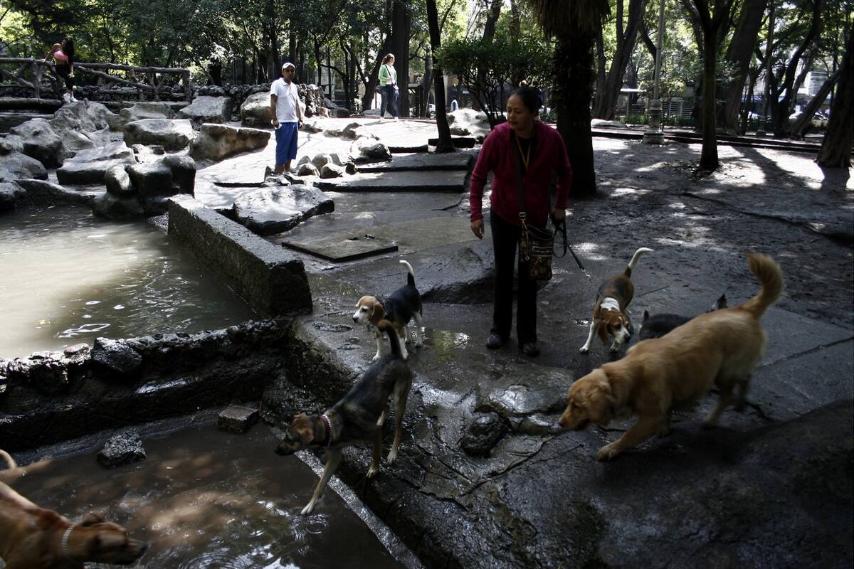 Penetrante olor por toda CDMX inquieta a habitantes