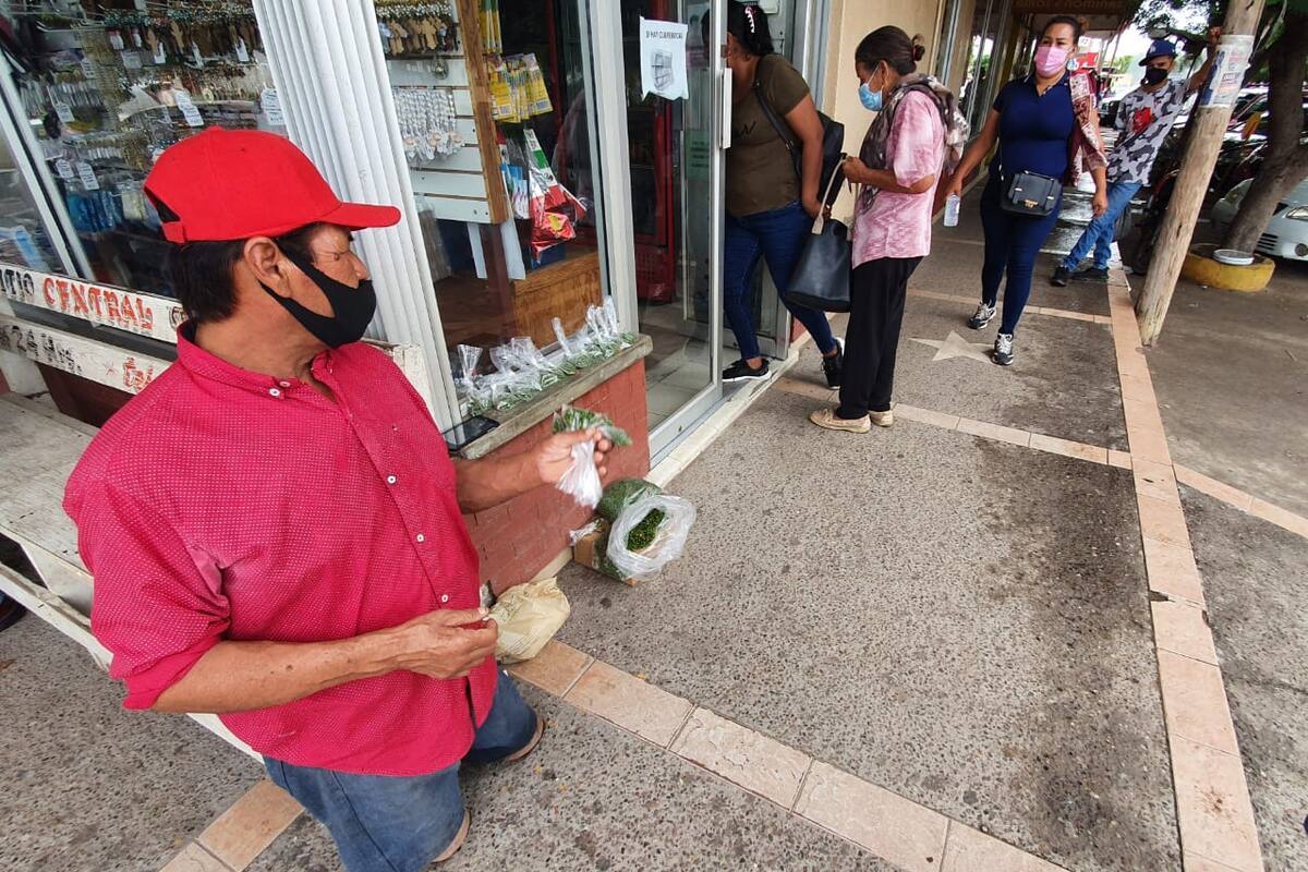 ¡Hay chiltepín y del bueno!, ya lo venden en Navojoa