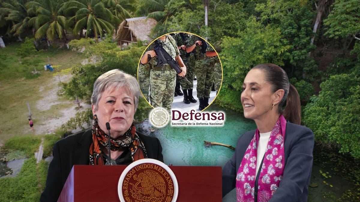 Semarnat negó a la Sedena autorización para base militar por comenzar la construcción sin permisos ambientales y afectar más de 45 mil metros cuadrados de selva