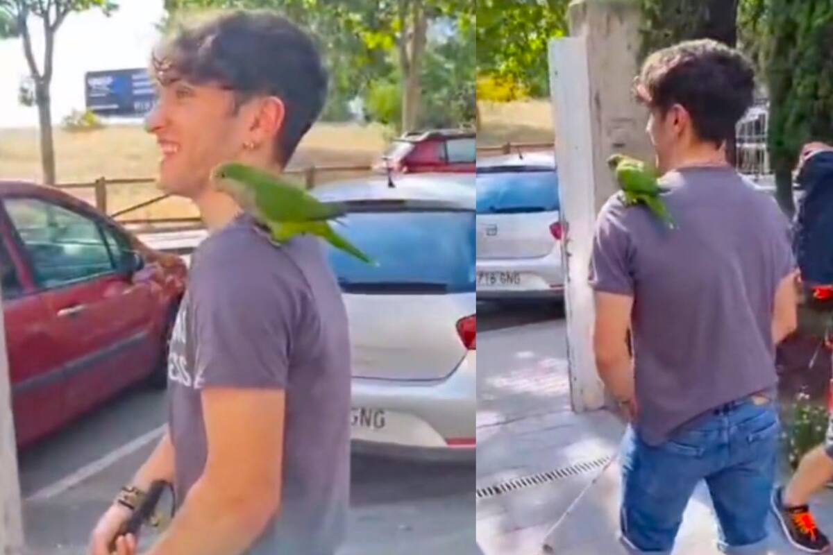 Influencer con ceguera deja que su loro guíe sus pasos. Ve cómo fue