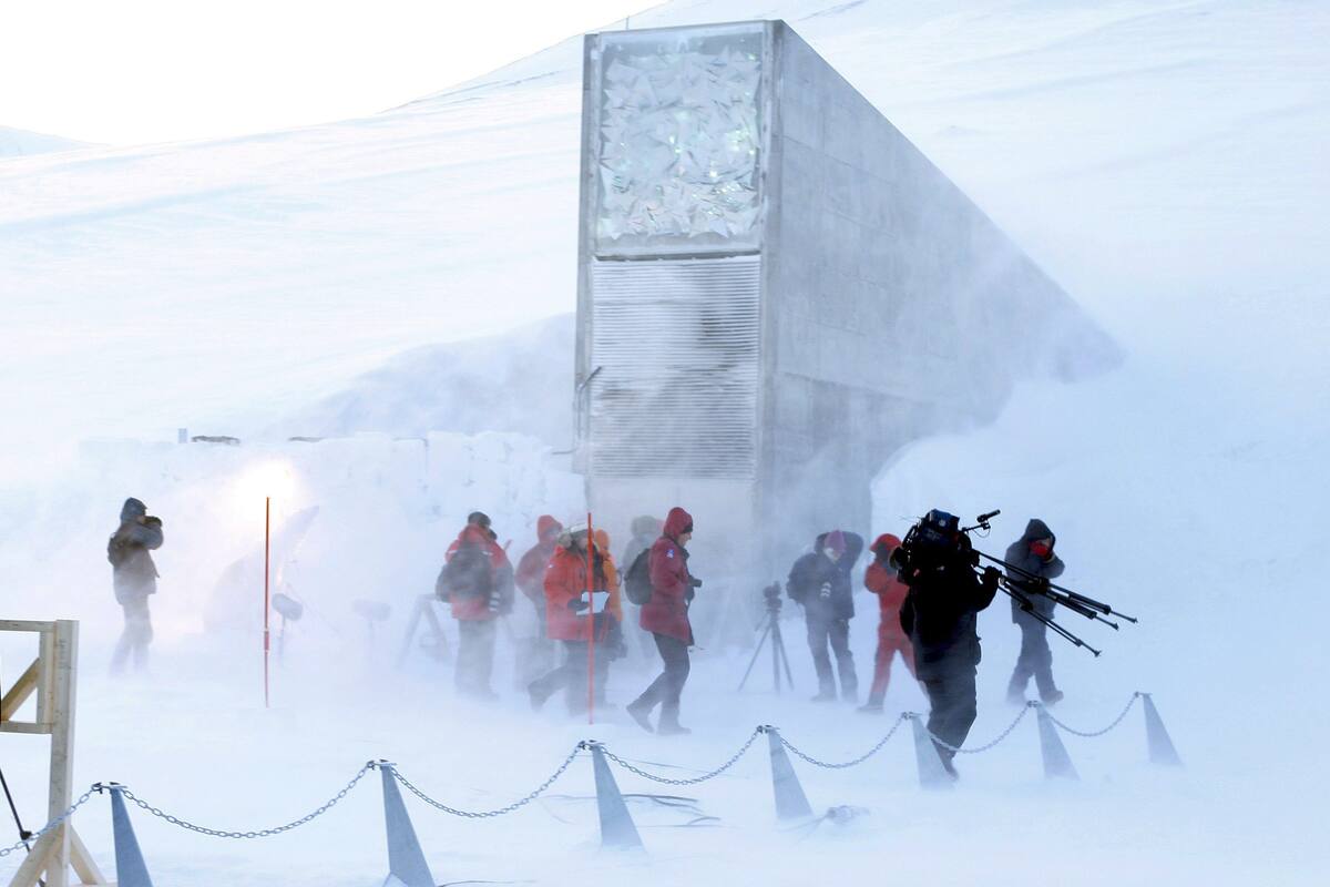 La bóveda "del fin del mundo" de Svalbard supera millón de semillas almacenadas con nueva donación
