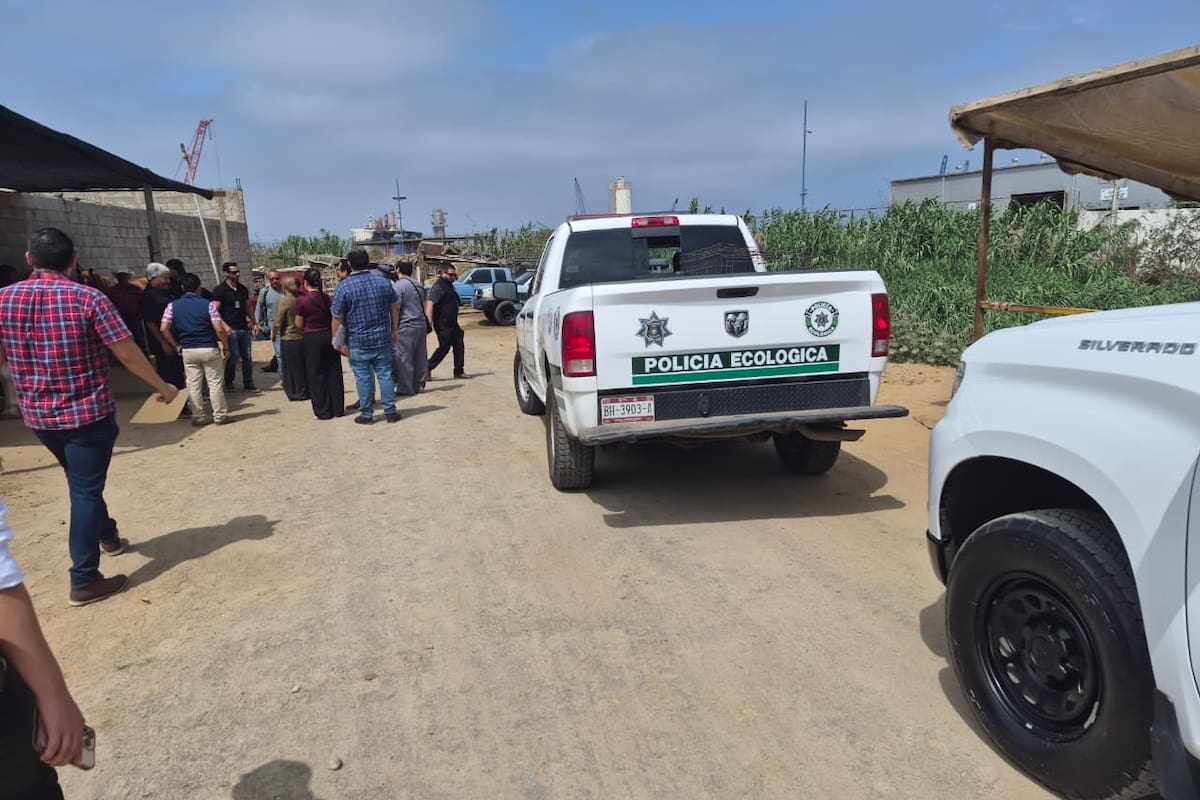 Investigan muerte de yegua en Playa Hermosa; autoridades realizan nuevas inspecciones