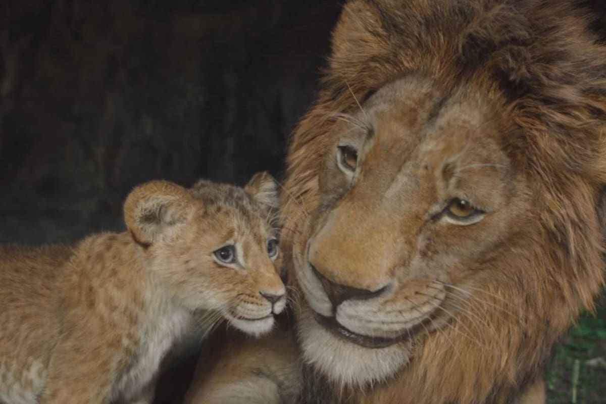‘Mufasa: El Rey León’ anuncia estreno en Disney+: ¿Cuándo llega?