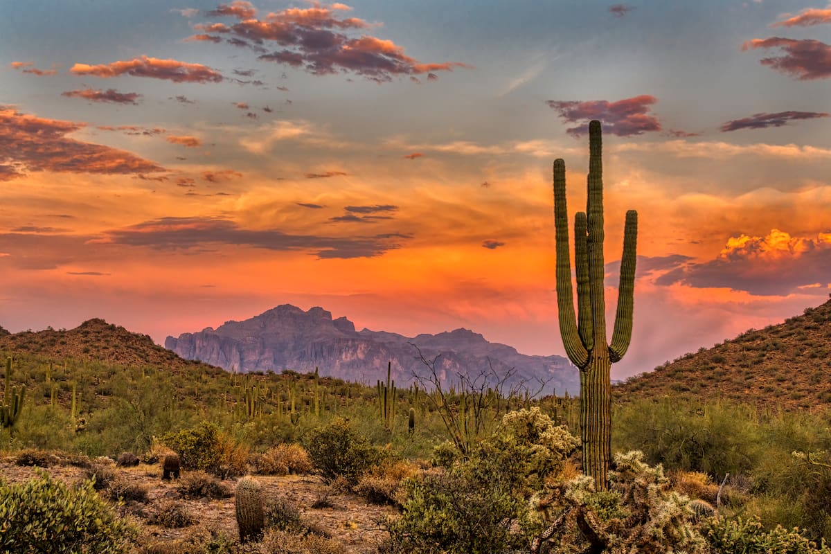 Destinos ideales para los aficionados a la historia natural en Arizona