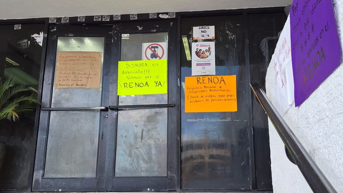 Observatoria Todas MX pide garantizar funcionamiento del Registro de Deudores Alimentarios en Sonora. | Tanya Vásquez