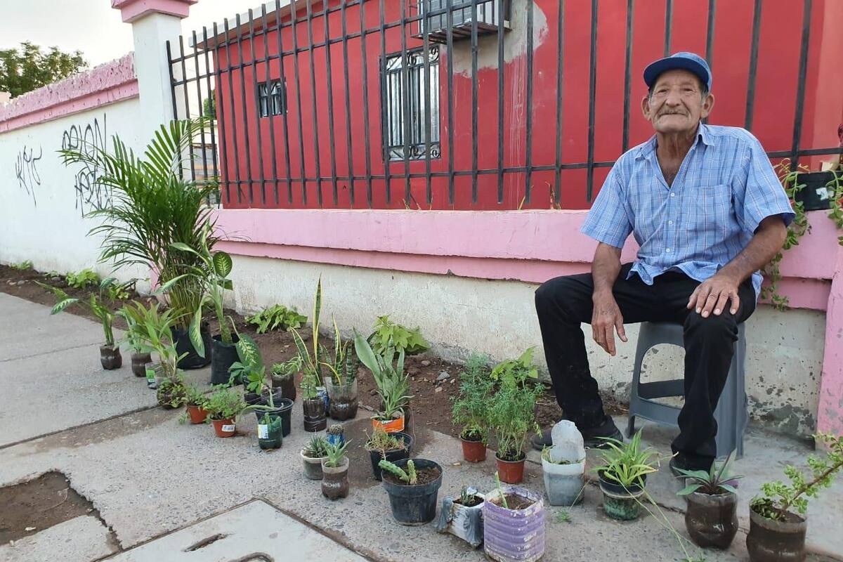 Don Salvador Empieza negocio de venta de plantas