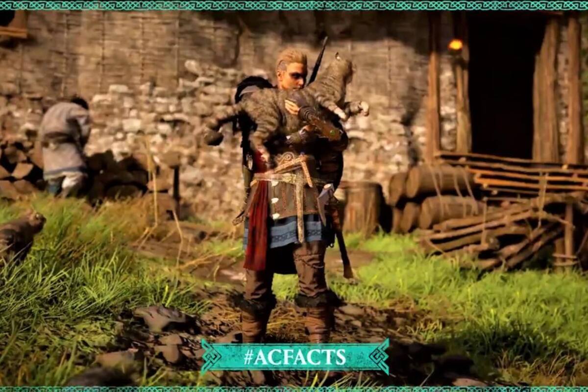 Assassin's Creed Valhalla te permite no solo acariciar sino también sostener al gato