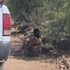 Mujer semidesnuda es encontrada en una zona despoblada de Nogales
