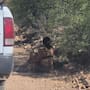 Mujer semidesnuda es encontrada en una zona despoblada de Nogales
