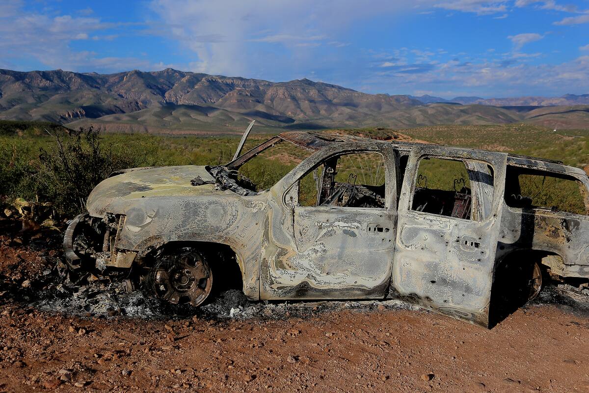 Analizan autos de familias atacadas