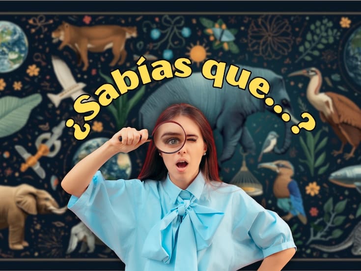 ¿Sabías que en realidad no vemos los colores tal como son, sino como los interpreta nuestro cerebro?