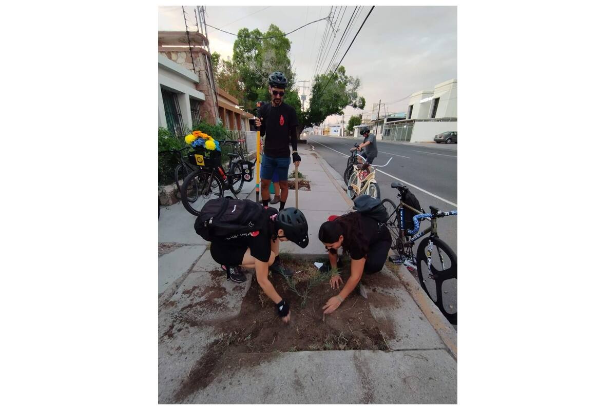 Bikes and Trees ruedan por Hermosillo y plantan árboles