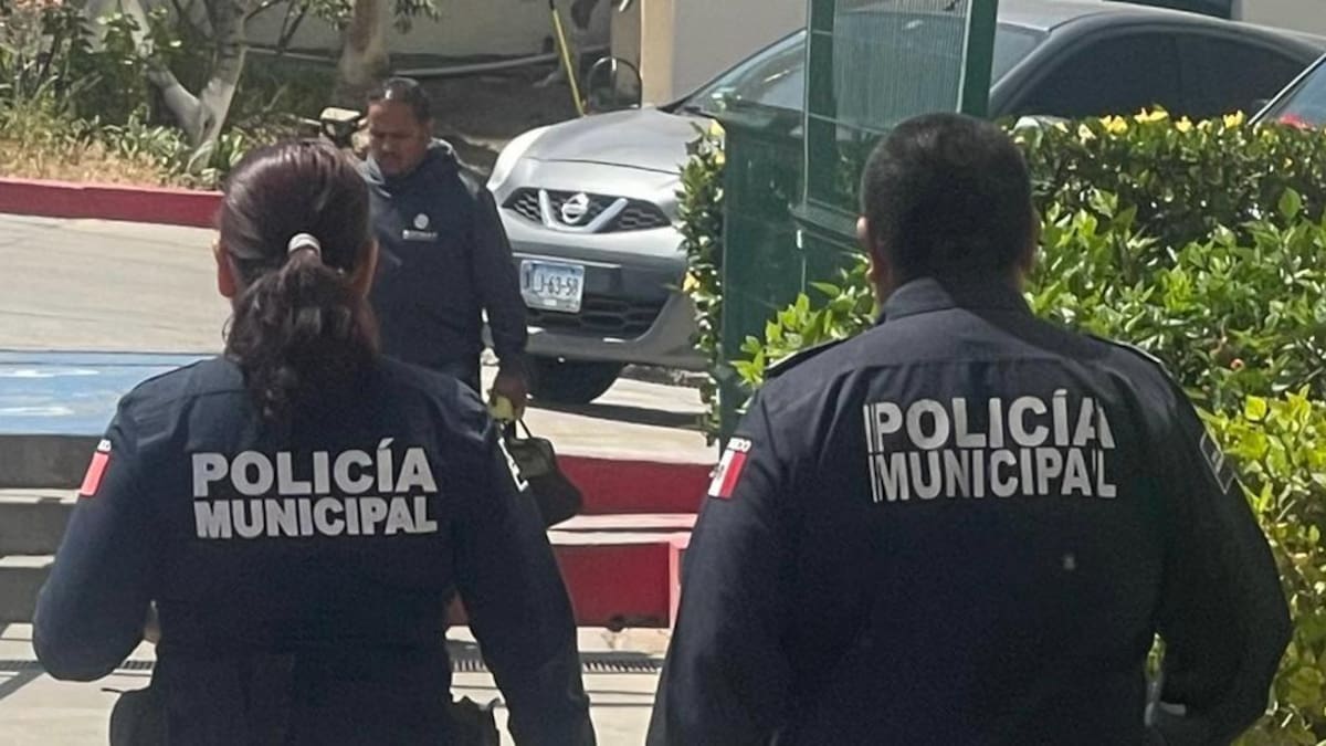México alcanza 98% de impunidad en crímenes contra periodistas, denuncian organizaciones civiles