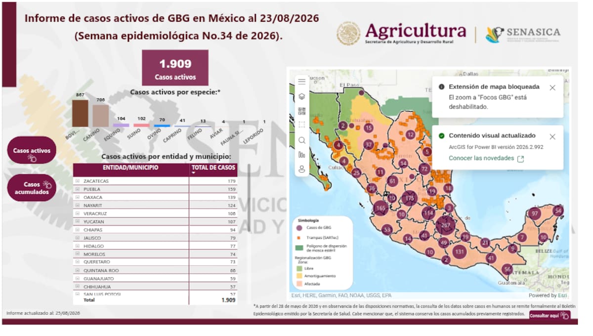 Mapa de Senasica de los casos de gusano barrenador en México, al corte del 25 de agosto.