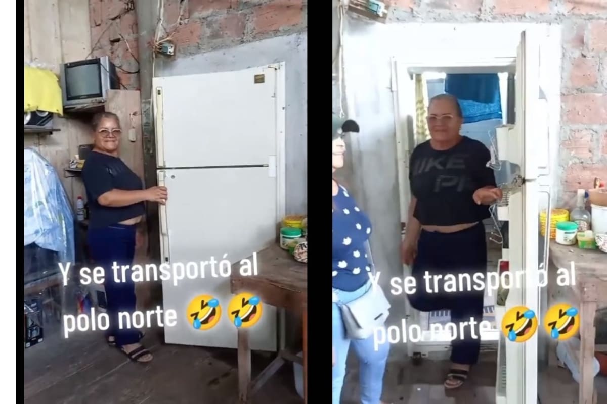 La puerta del tiempo: cambian la puerta de madera del baño por la puerta del refrigerador