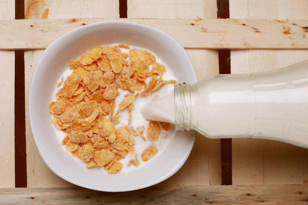 EU: Encuentran 20 kilos de cereal glaseado con cocaína