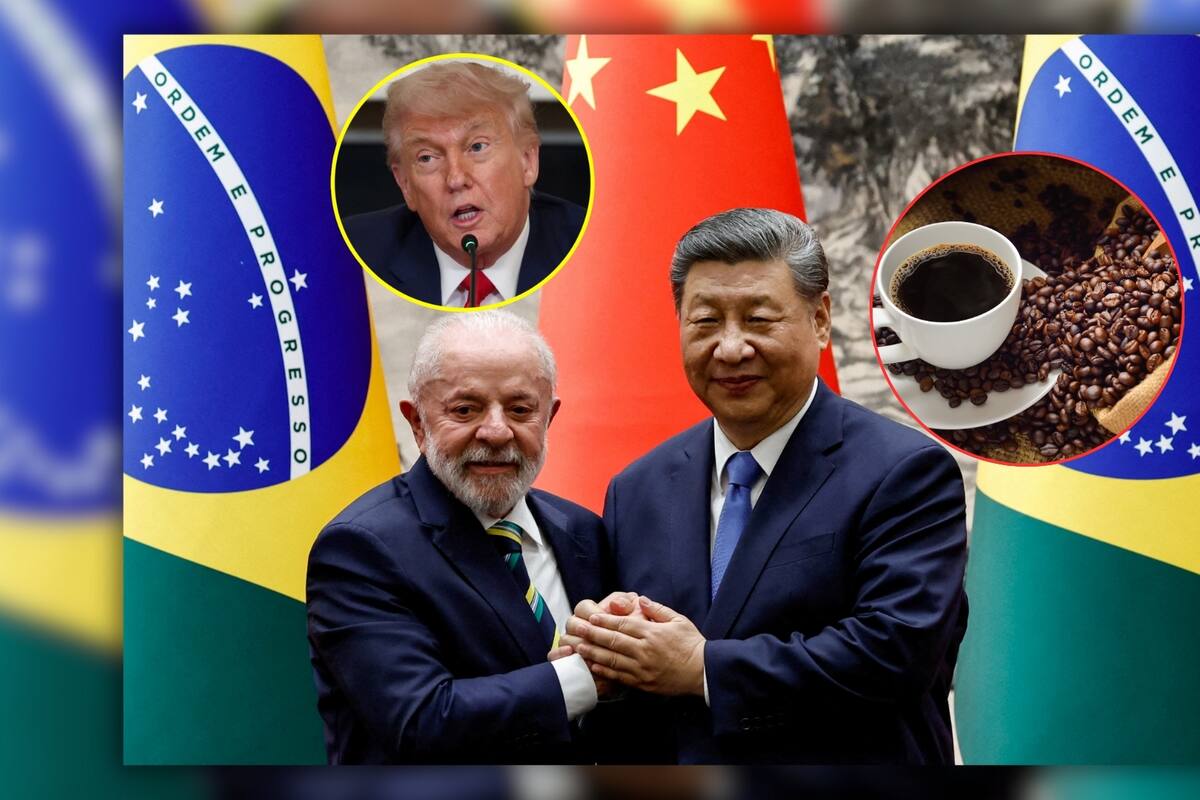 China saca provecho de los aranceles de Donald Trump a Brasil y le “roba” el café a EEUU