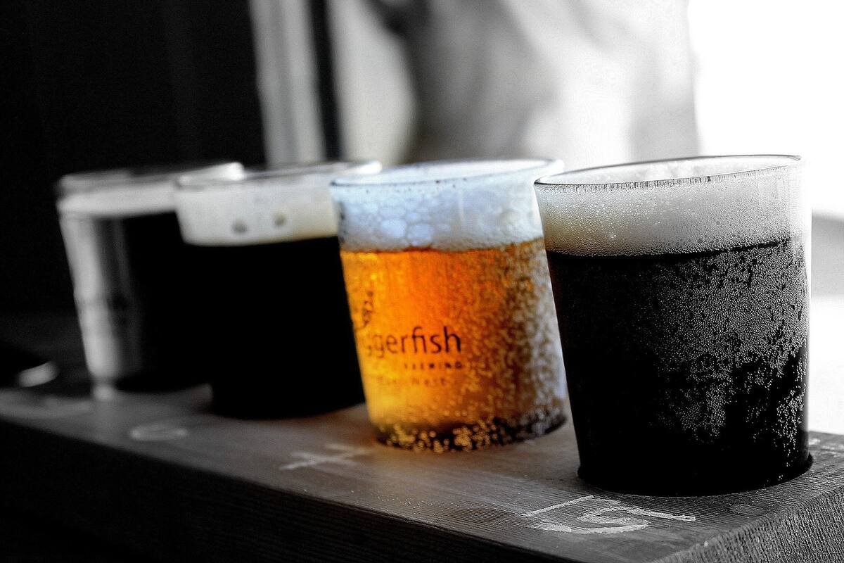 Festival de la Cerveza en San Carlos no será cancelado