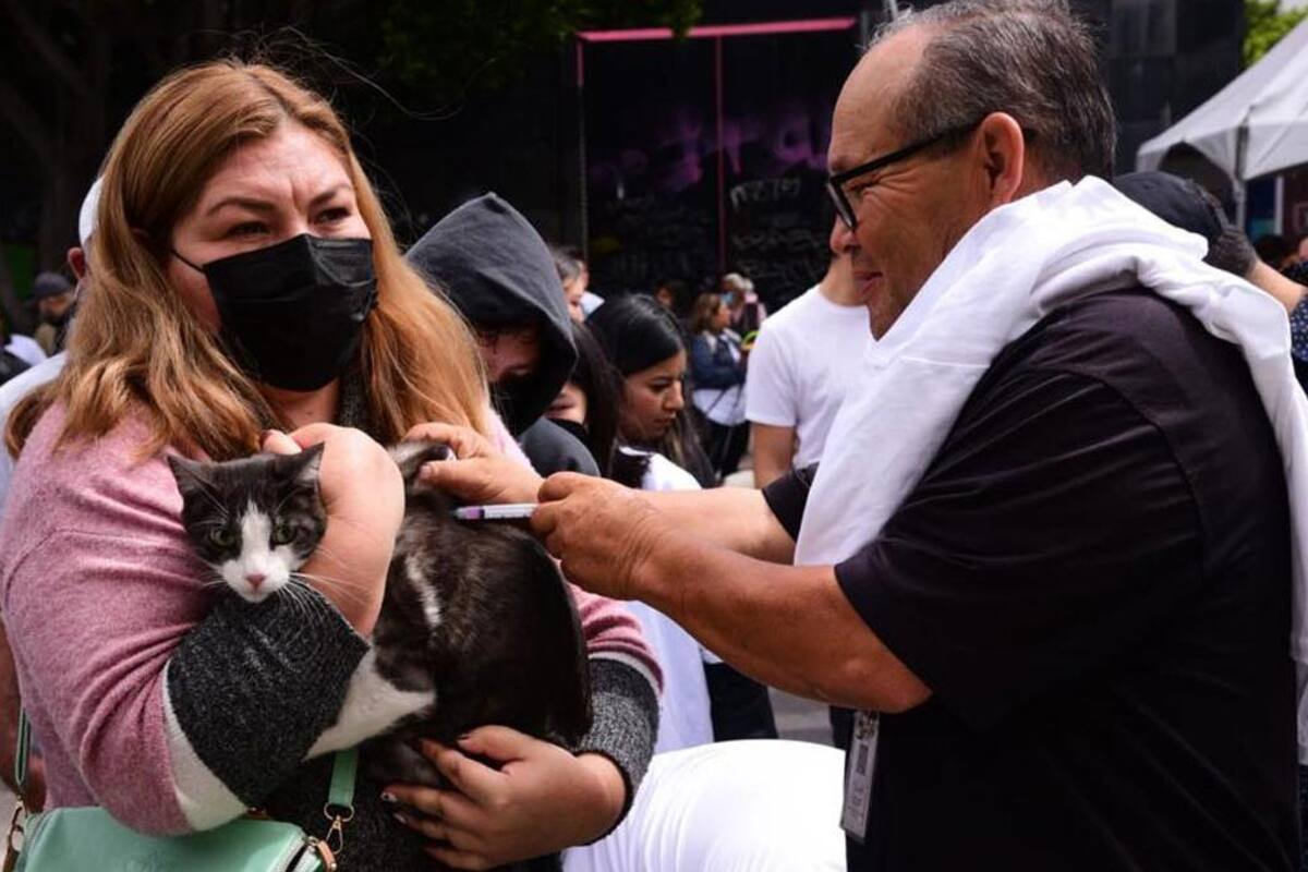 Realizan Feria de Mascotas en Zona Río Tijuana