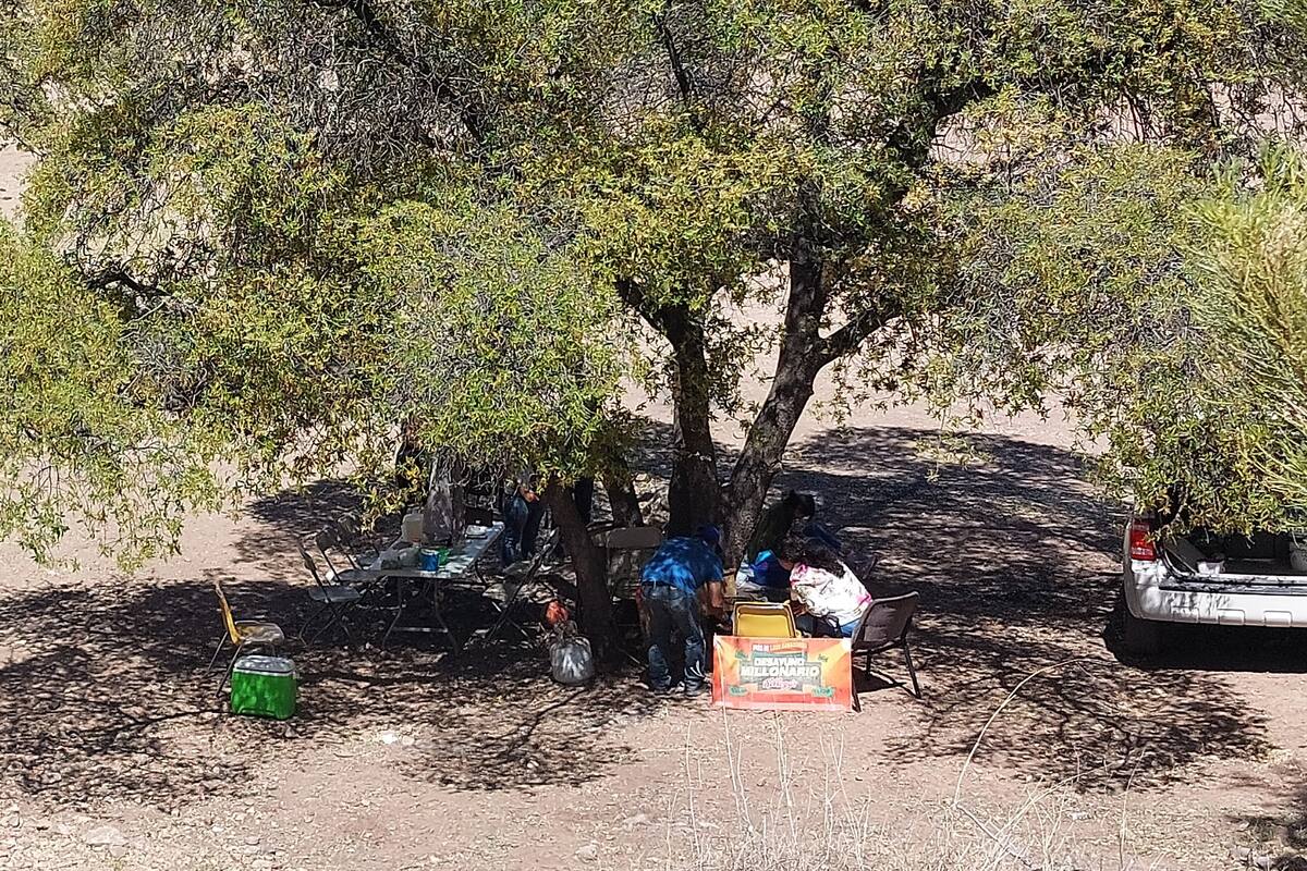 Vacacionistas ocasionan daños a ganaderos: AGL de Nogales