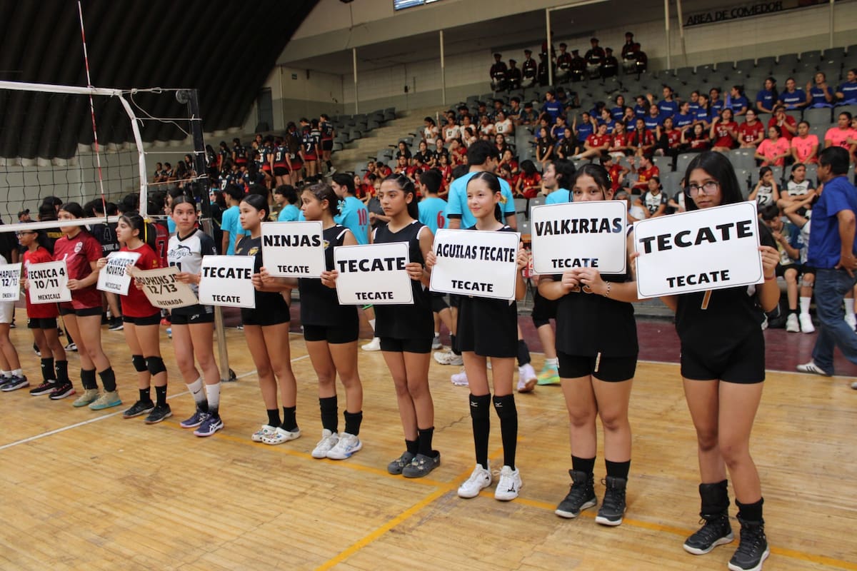 Comienza el CIBAVOL 2025