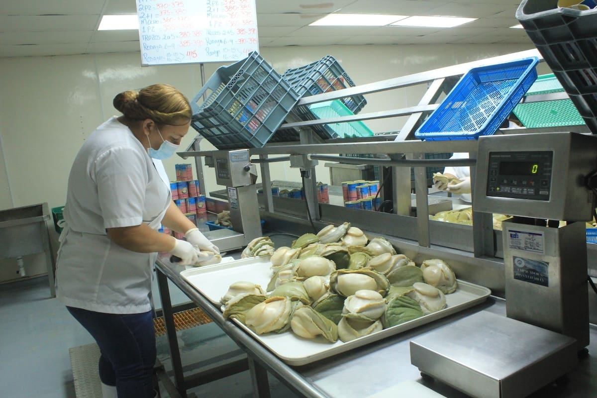 Destaca Isla de Cedros en aprovechamiento y proceso de productos marinos