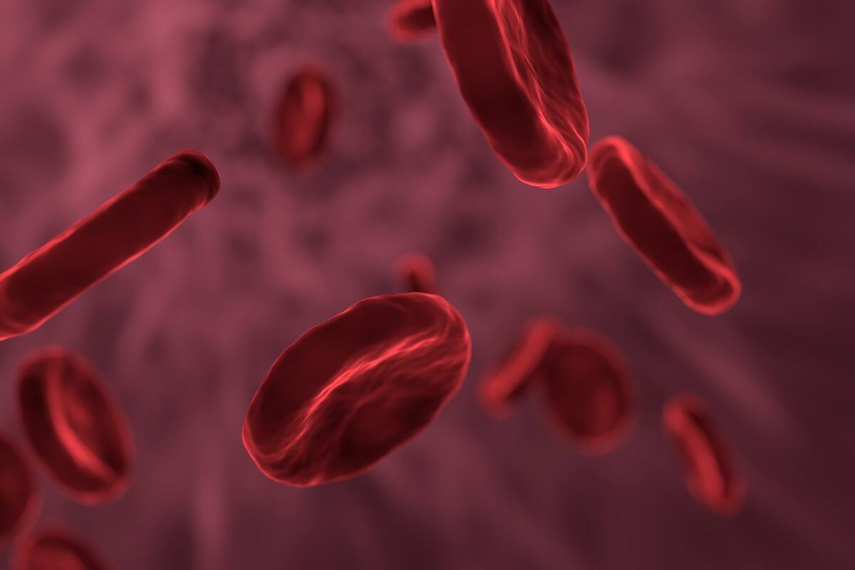 ¿Qué es y qué tratamientos hay para la hemofilia?