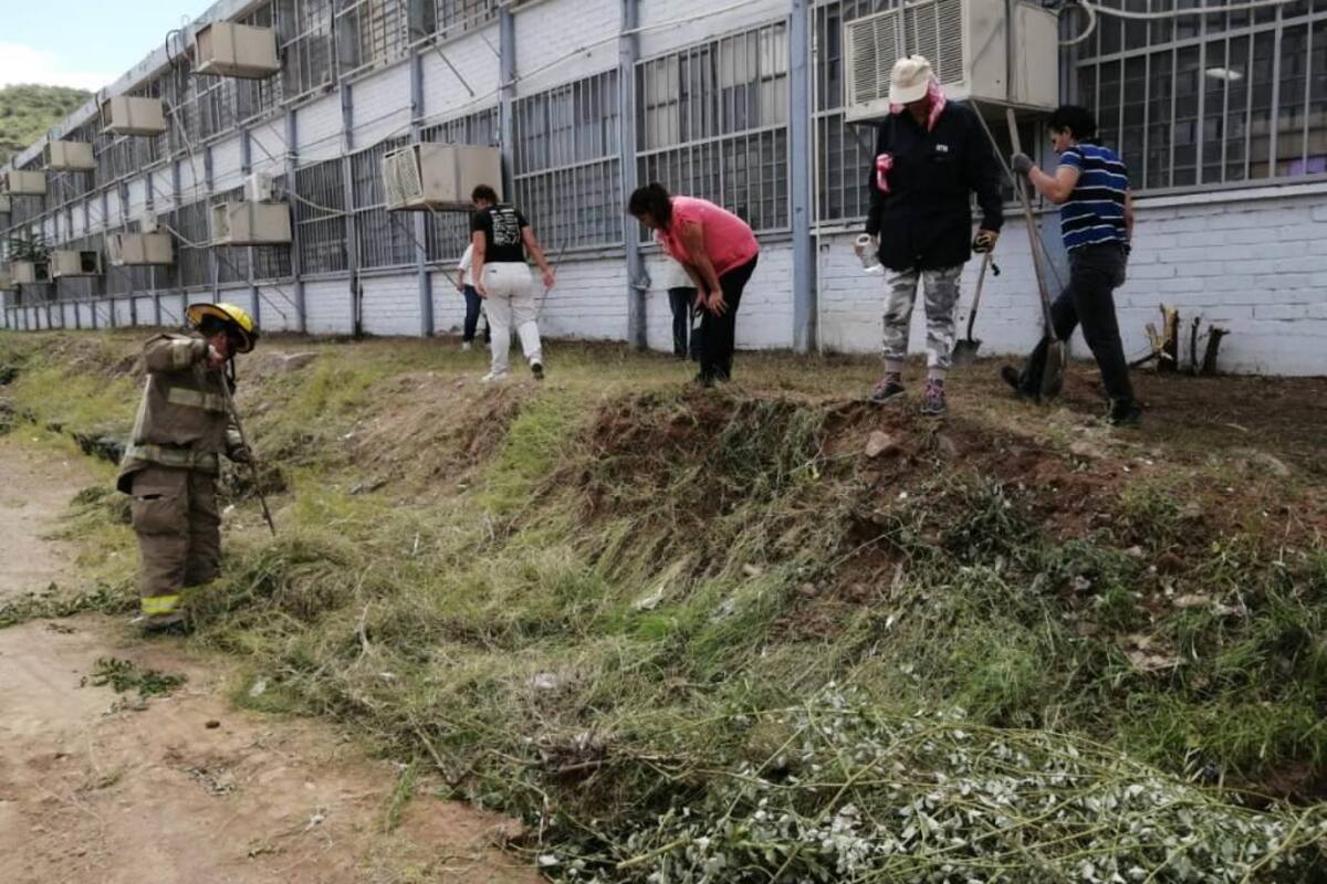 Matan a 7 crías de víbora de cascabel en escuela