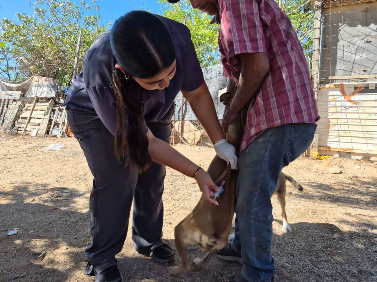 Crédito: Misael Montaño