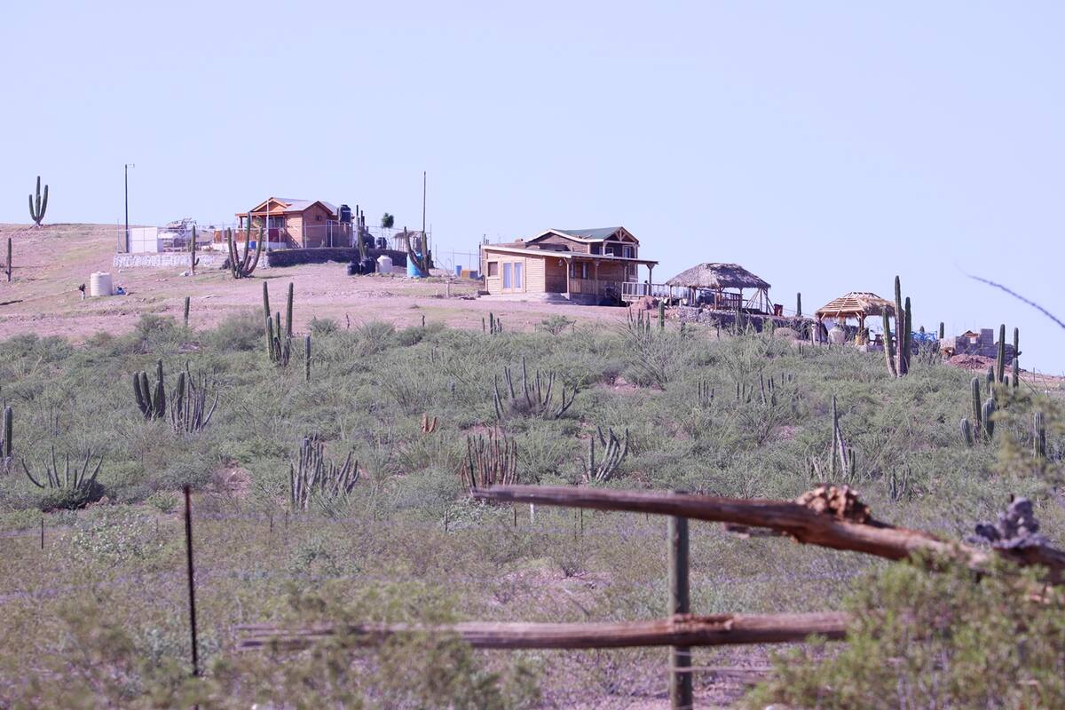 Se revisarán terrenos campestres en todo Sonora: Gobierno estatal