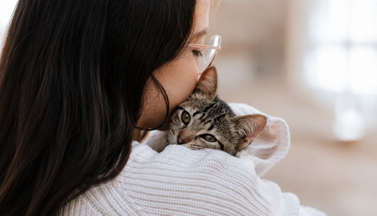 La disminución progresiva de bebés reduce de forma directa la demanda de pañales, mientras que los recursos familiares se canalizan hacia la manutención de los animales de hogar.