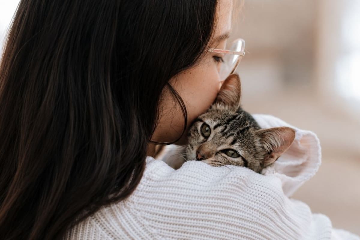 Cómo tener un gato ayuda a reducir el estrés cotidiano, mejora el estado de ánimo y activa zonas clave del cerebro para darte mayor tranquilidad en el día a día