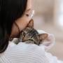 Cómo es que tener un gato ayuda a reducir el estrés cotidiano, mejora el estado de ánimo y activa zonas clave del cerebro para darte mayor tranquilidad en el día a día
