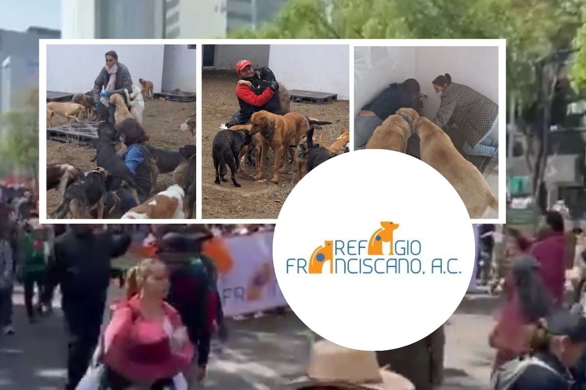 El Refugio Franciscano recupera su albergue en Cuajimalpa tras un largo conflicto legal y enfrenta nuevas acusaciones