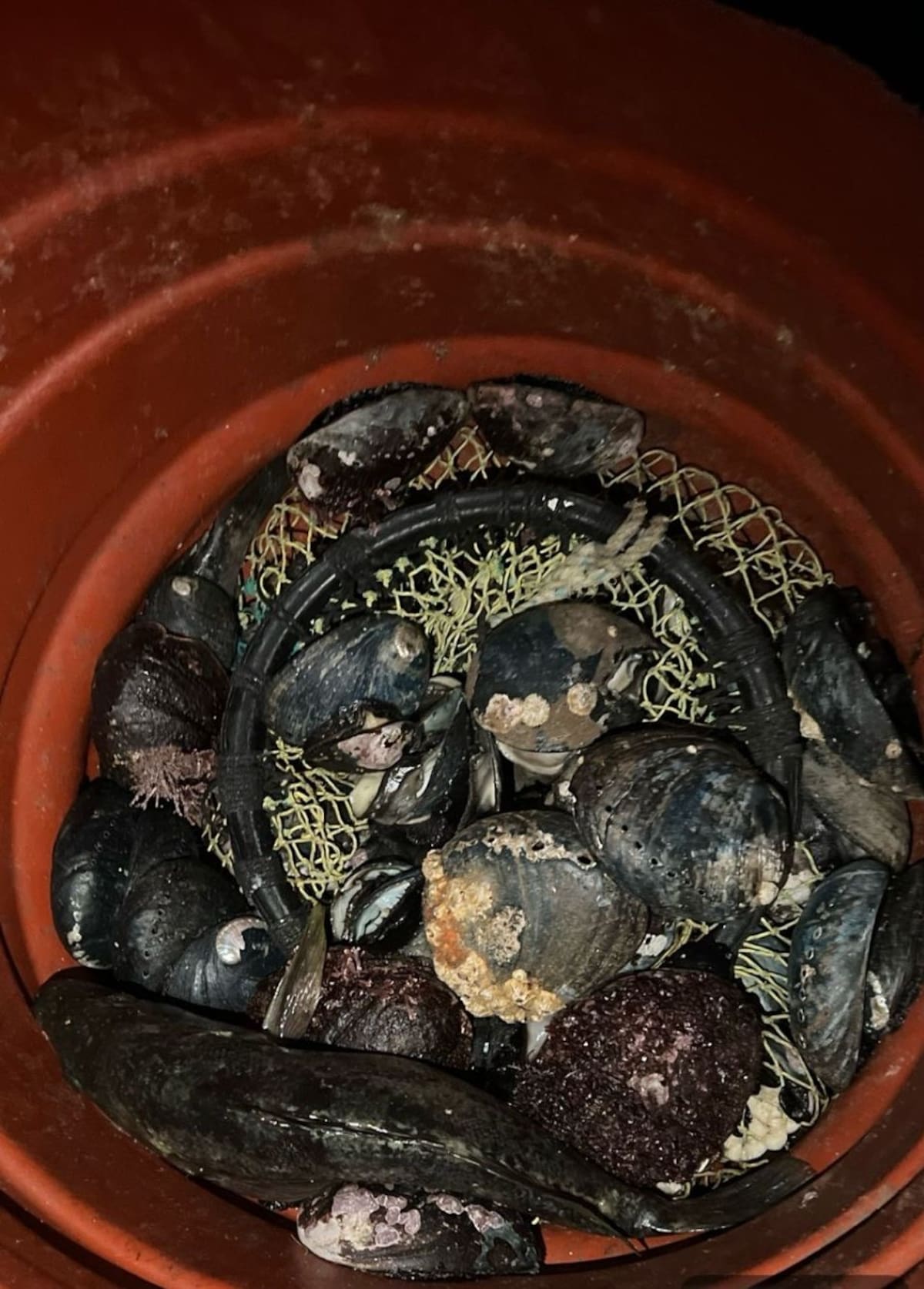 Los presuntos infractores emprendieron la huida a través de los acantilados de la zona. Foto: Cortesía