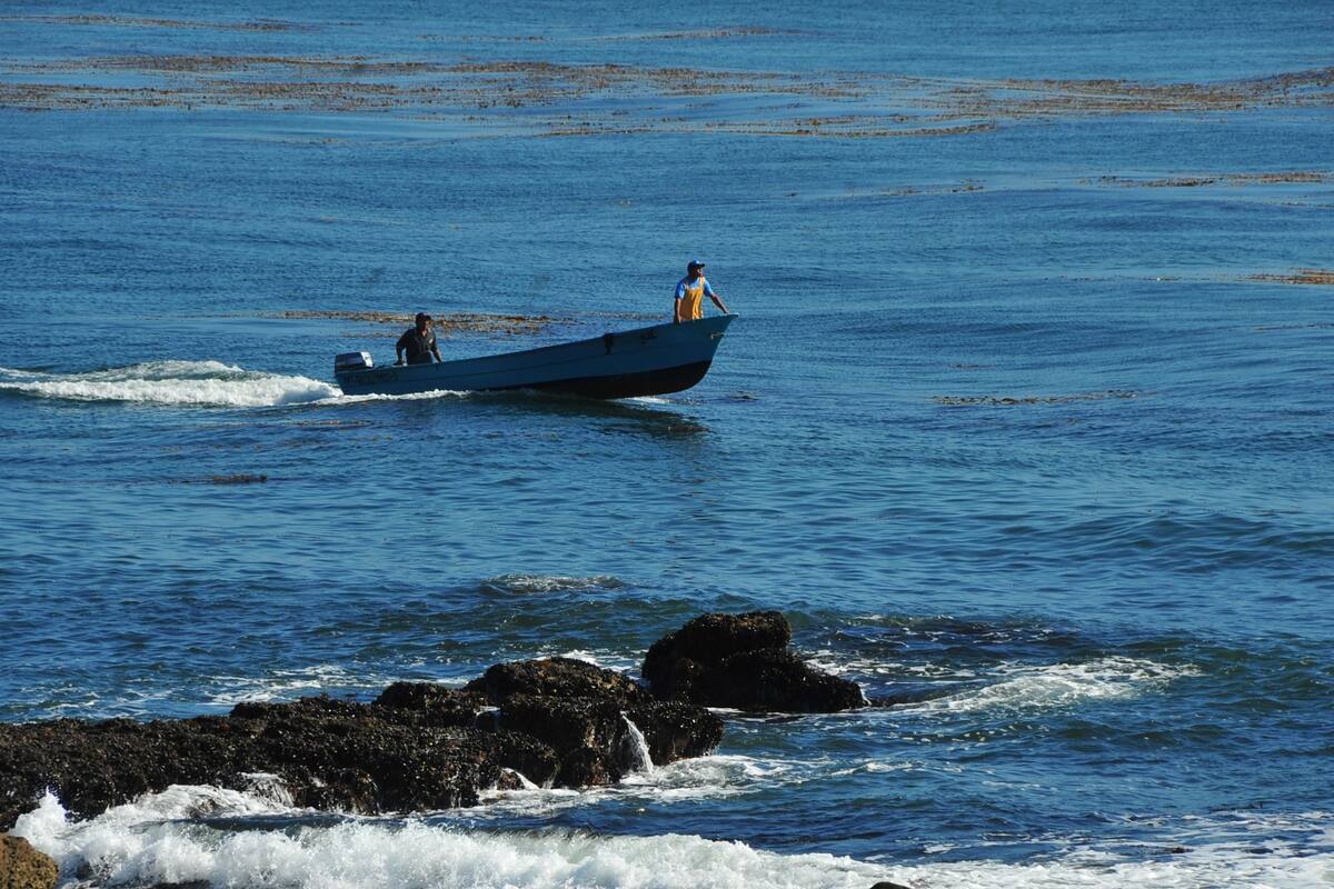 Ofrecerá Gobierno de Ensenada capacitación a pescadores ribereños y deportivos