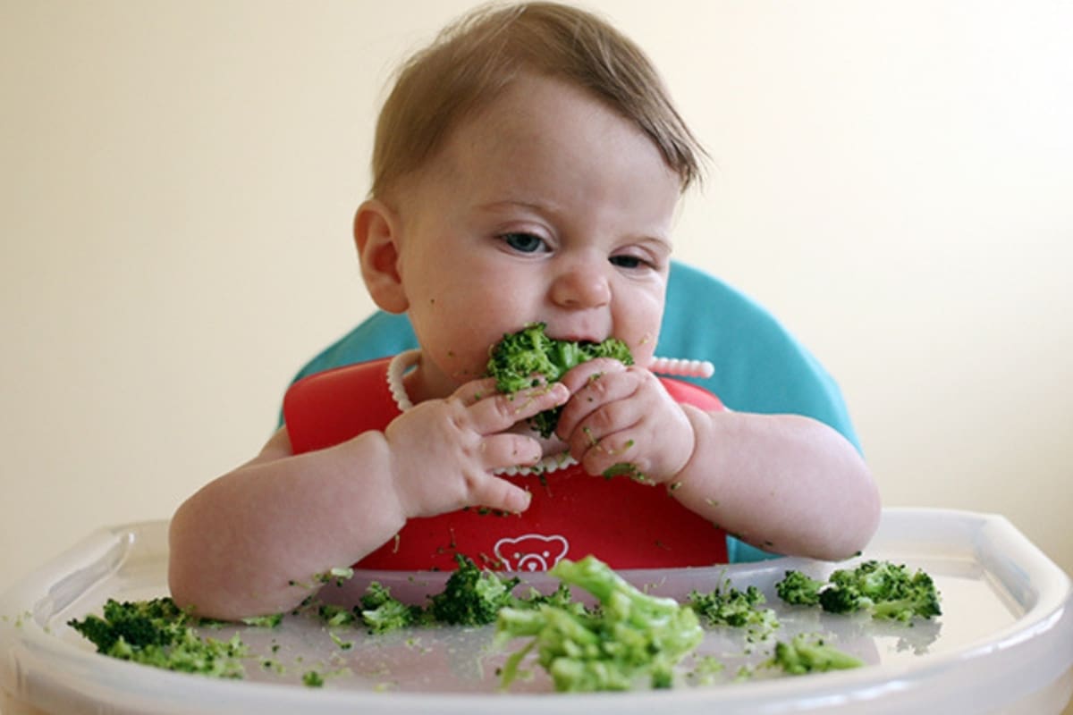 ¿Cuándo pueden los bebés comer alimentos sólidos?