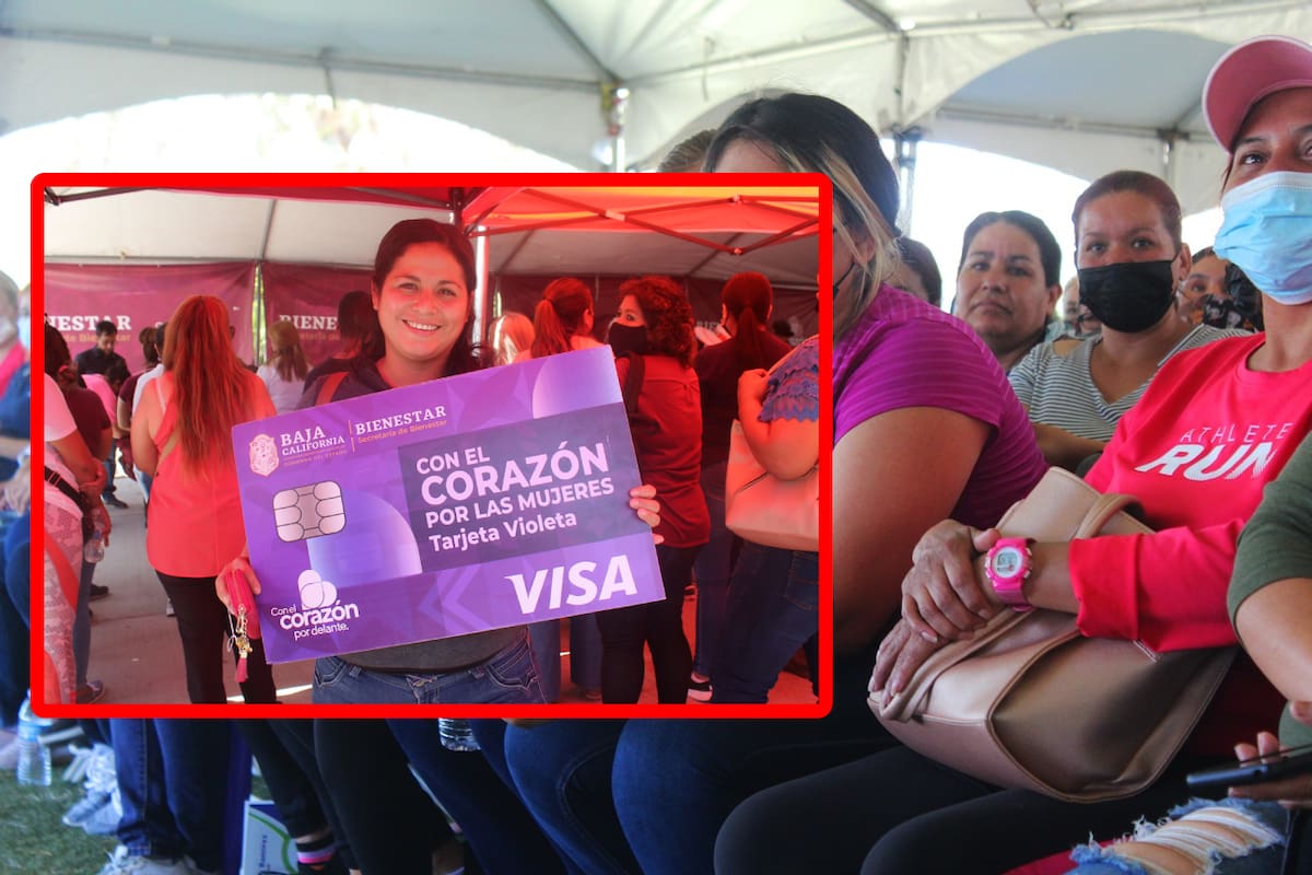Tarjeta Violeta Bienestar: En esta fecha cierra el registro para el apoyo de 2,600 pesos