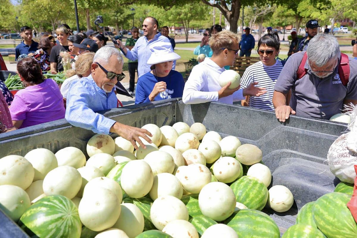 Promueve Unison cultura emprendedora en futuros agrónomos