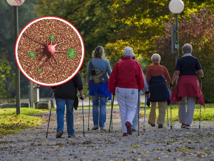 Cada paso cuenta: Cómo caminar fortalece el cerebro y retrasa el Alzheimer