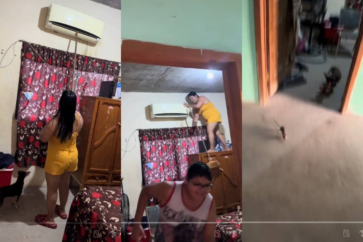 Familia enfrenta caótica misión para sacar una rata escondida detrás del aire acondicionado | VIDEO