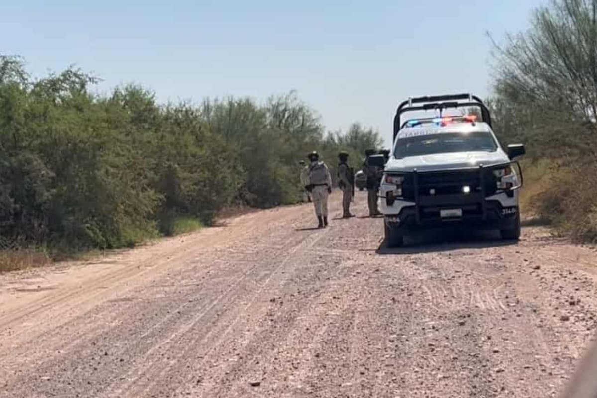 Flota cadáver en el Canal Alto, al oriente de Ciudad Obregón