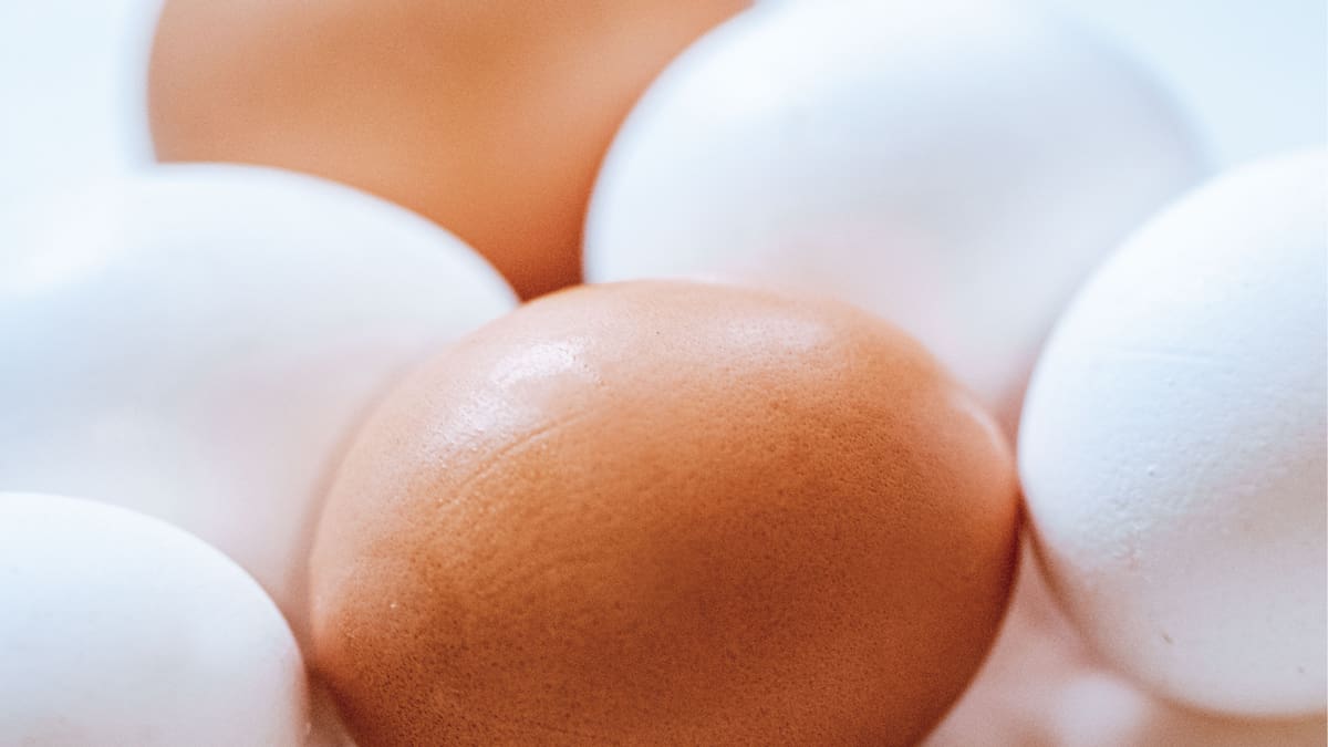 ARCHIVO. El huevo es un alimento nutritivo y versátil, pero su consumo ha sido debatido por su relación con el colesterol|Foto: Canva