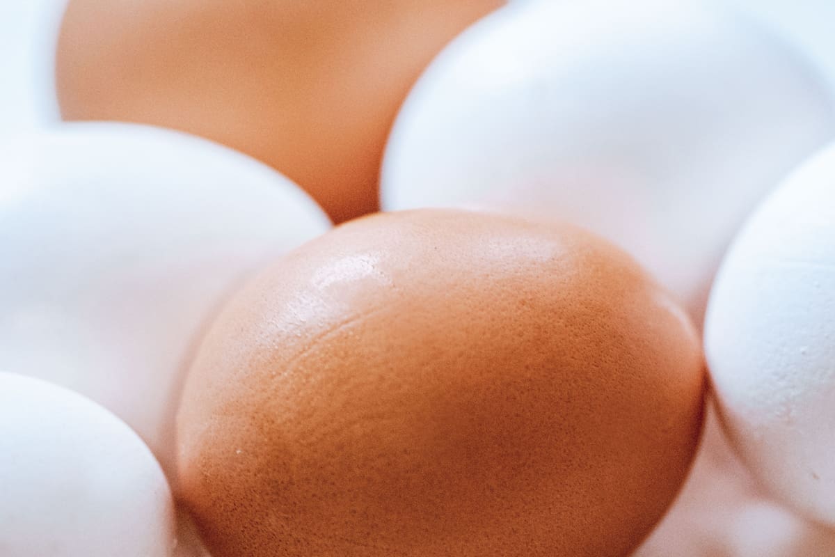 ¿Cuántos huevos se pueden comer al día sin afectar la salud?