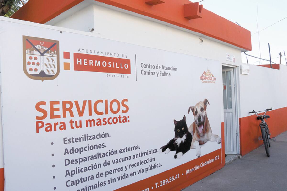 Cacyf no hace sacrificios de animales
