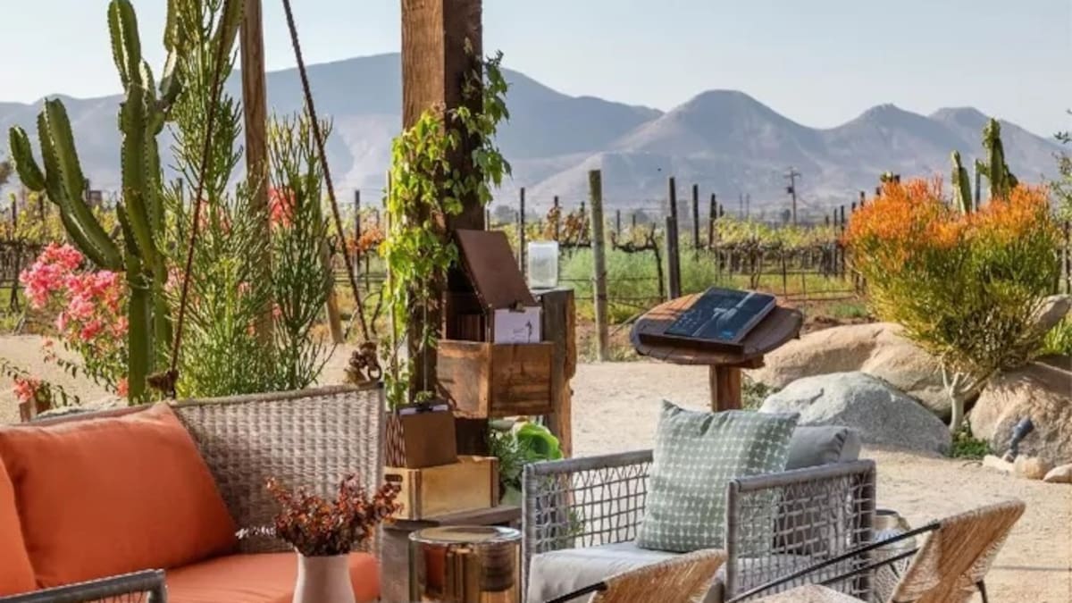 Valle de Guadalupe brilla en la Guía Michelin con cinco restaurantes galardonados