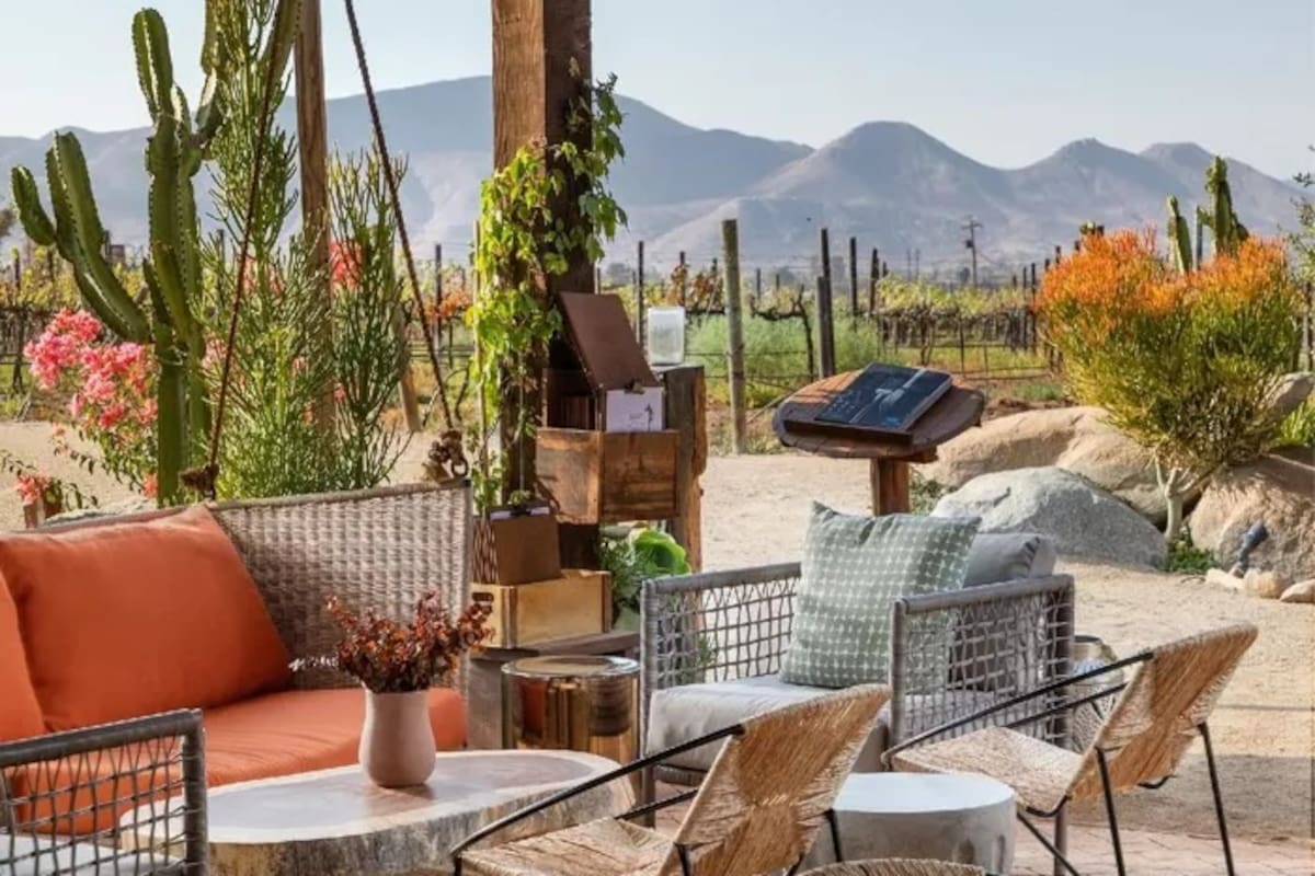 Valle de Guadalupe brilla en la Guía Michelin con cinco restaurantes galardonados