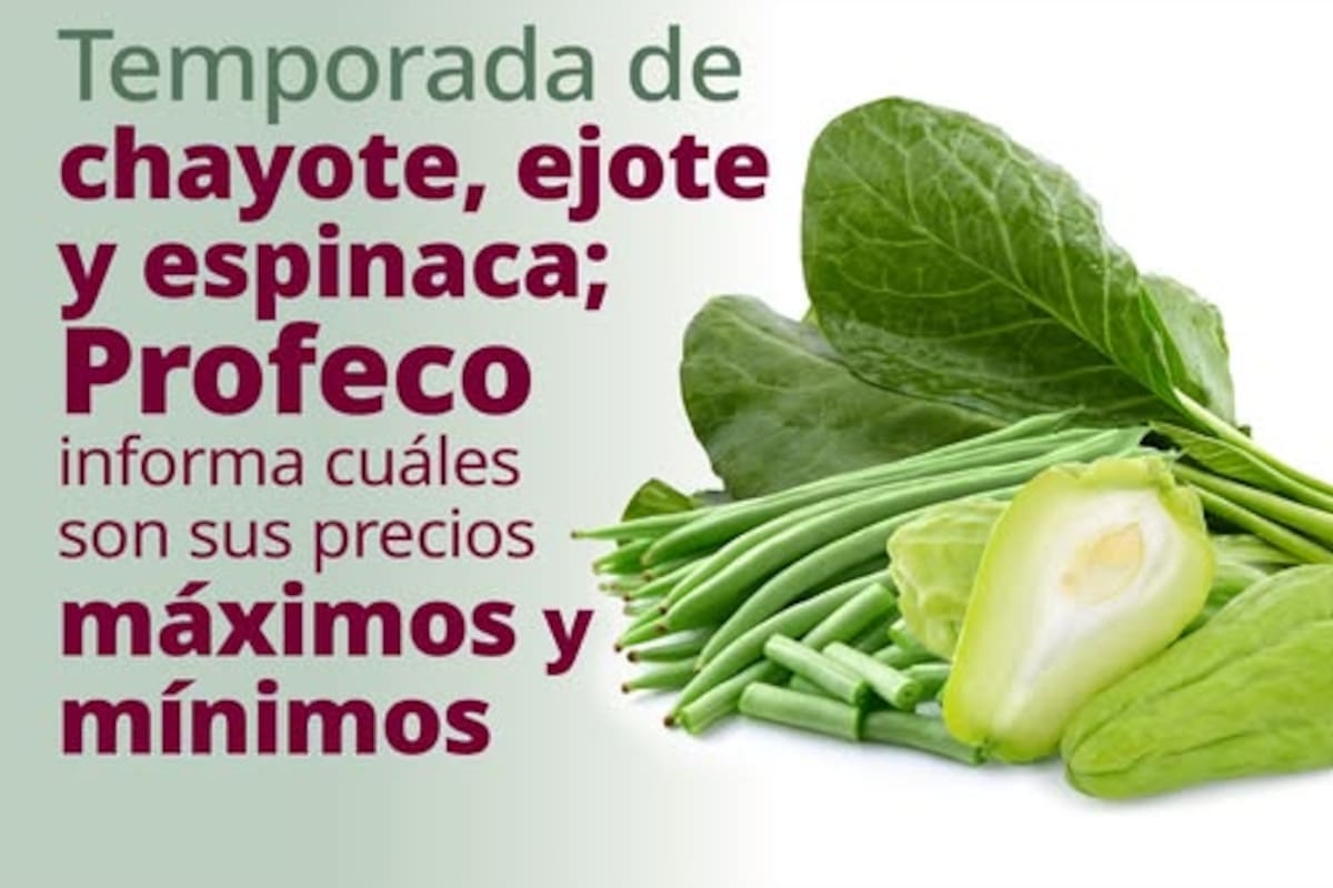 Profeco informa precios máximos y mínimos del chayote, ejote y espinaca en temporada